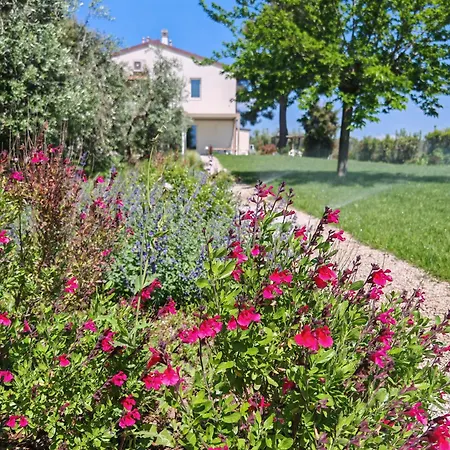 Apartment Podere Livrone - Magona